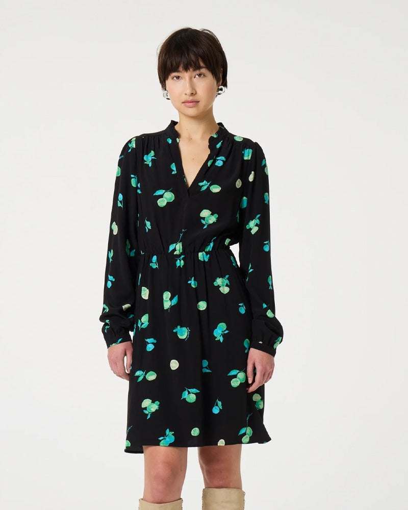 Fabienne Chapot Anissa Dress - Black/Green